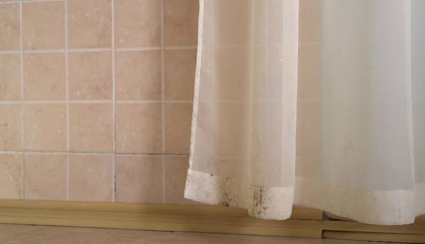 Best Attic Mold Removal  in Sells, AZ
