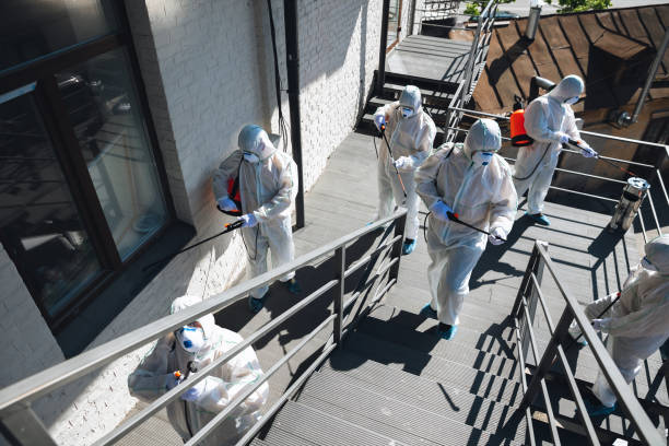 Best Mold Odor Removal Services  in Sells, AZ