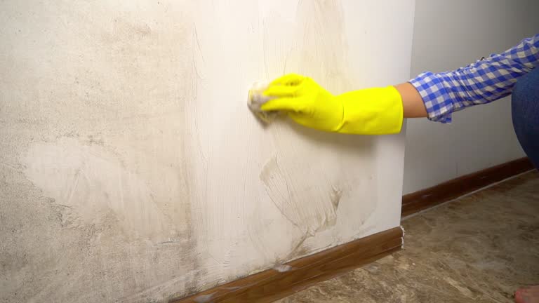 Best Real Estate Mold Inspection  in Sells, AZ